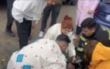 Yangında 2 köpekten biri öldü, diğeri kalp masajıy...